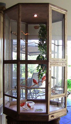 ......... Bird Cage Ideas, Budgie Cage, Diy Bird Cage, Bird Cage Design, Pet Bird Cage, Large Bird Cages, Parrot Pet, Bird Aviary, Bird Cage Decor