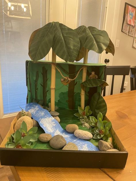 Sloth Habitat, Crocodile Habitat, Deciduous Forest Biome, Ecosystems Diorama, Fox Habitat, Monkey Habitat, Temperate Deciduous Forest, Owl Habitat, Ocean Diorama