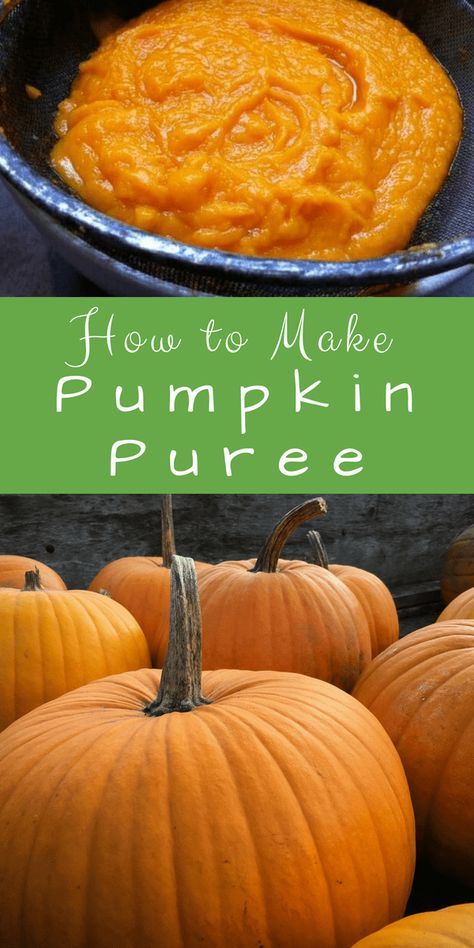 Fresh Pumpkin Recipes, Make Pumpkin Puree, Whole Pumpkin, Pumpkin Puree Recipes, Baked Pie, Cooking Pumpkin, Pie Pumpkin, Fresh Pumpkin, Homemade Pumpkin Pie