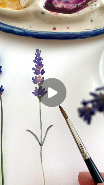 How To Paint Lavender Flowers Watercolor, Watercolour Lavender Tutorial, Watercolor Lavender Tutorial, How To Paint Lavender, How To Paint Lavender Flowers, Watercolor Art Flowers Simple, Lavender Plant Drawing, Lavender Watercolor Painting, Watercolor Lavender Flowers