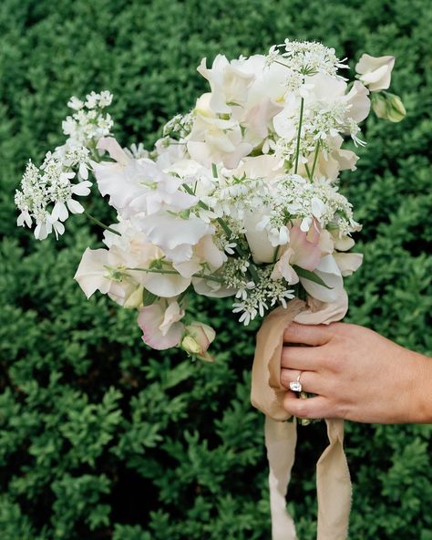 Captivated by this dreamy May bridal bouquet! 🌸✨ Filled with peonies, orlaya, and sweet peas, these soft blooms make our hearts flutter 🦋. Finished with off-white, botanically dyed silk ribbon, it’s the perfect blend of elegance and whimsy. 💐💖 Tag a bride-to-be who’d love this delicate beauty! #WeddingInspiration #BridalBouquetGoals Sweet Pea Bouquet, Whimsy Flowers, Heart Flutter, Delicate Beauty, Sweet Peas, Dyed Silk, Silk Dyeing, Silk Ribbon, Sweet Pea