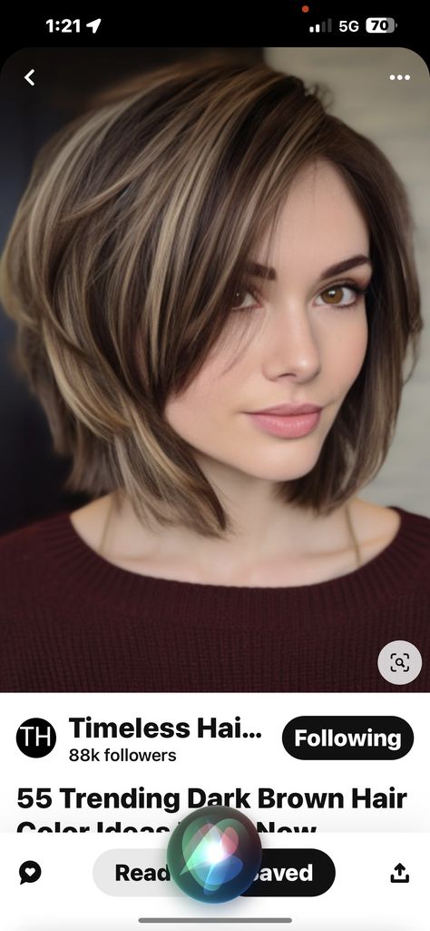 Chocolate Brown Hair With Highlights Bob, Short Brunette With Highlights, Highlights For Dark Brown Hair Short, Deep Brown Hair With Highlights, Dark Brown Hair With Low Lights, Chocolate Brown Hair With Highlights, Short Dark Brown Hair, Aline Bob, Highlights For Dark Brown Hair