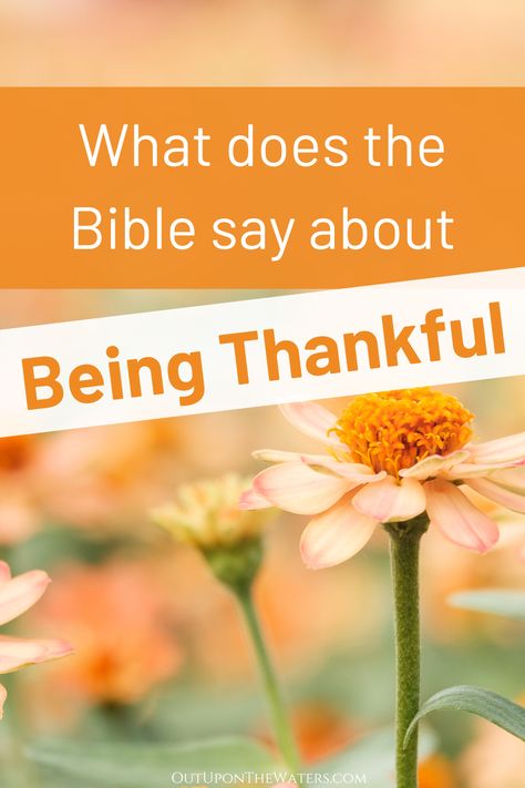 Learn more about what the Bible says about being thankful and giving thanks in all circumstances.  Includes stories of people who were grateful in the Bible.  #biblestudy #gratitudeintheBible #thankfulness Bible Study On Thankfulness, Scripture About Gratitude, Thanksgiving Bible Study For Women, Thanksgiving Devotions For Women, Thankfulness Scripture, Thanksgiving Devotions, Short Devotions, Praying For Your Family, Sabbath School