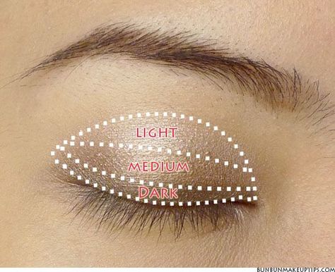 Girl in Pink Stilettos: Eye Shadow: Applying and Blending Tips Eyeshadow Tutorial For Beginners, New Makeup Ideas, Trendy Eyeshadow, Simple Eyeshadow, Eyeshadow For Brown Eyes, Easy Makeup Tutorial, How To Apply Eyeshadow, How To Apply Eyeliner, Brown Eyeshadow