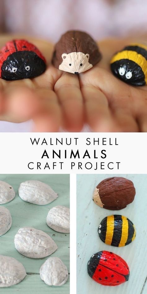 Walnut Shell Crafts, Shell Animals, Simple Crafts, Walnut Shell, Autumn Crafts, Easy Craft, Shell Crafts, Nature Crafts, Animal Crafts