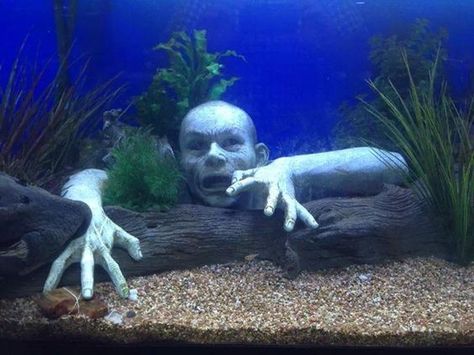 Decorating a creepy fish tank (Because fish also... - Every day is Halloween Bow Front Aquarium, Scary Fish, Fish Tank Themes, Halloween Decorations To Make, Cool Fish Tanks, Fish Tank Ideas, Nature Aquarium, Aquarium Terrarium, Aquarium Ornaments