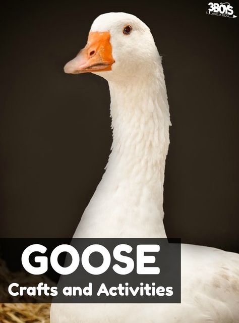 These fun goose crafts and activities are great for a farm unit study with the kids! There are goose paper crafts, goose games, and goose-themed printables #kidsactivities #educational #inspirationspotlight Farm Unit Study, Goose Craft, Cycle For Kids, Science Experiments Kids Elementary, Preschool Art Projects, Woodland Animal Art, Farm Unit, Farm Fun, Making A Model