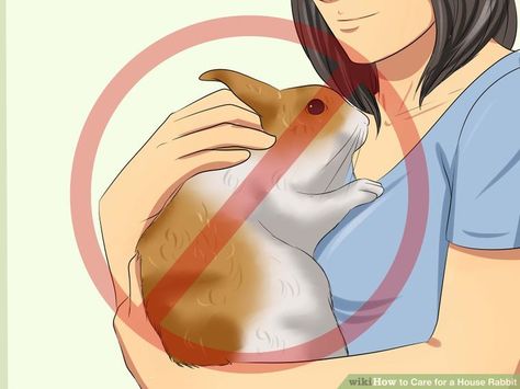 How to Care for a House Rabbit (with Pictures) - wikiHow Bunny Rabbit Photography, Rabbits Indoor House, Diy Bunny House Indoor Rabbit, Activities For Bunnies, Diy Bunny Cage Indoor House Rabbit Ideas, Indoor Bunny House Ideas, Bunny Cages Diy, Diy Rabbit Bed, Bunny House Ideas