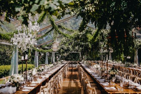 Luxurious outdoor tent wedding // Dom and Sunny's Sydney Wedding Australian Wedding Venues, Australia Wedding Venues, Glass Tent Wedding, Sydney Wedding Venues, Wedding Venues Botanical Gardens, Nsw Wedding Locations, Wedding Venue Queensland, Wedding Venues Nsw Australia, Wedding Venues Nsw