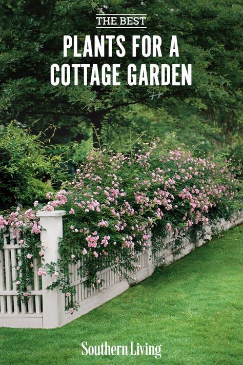 Because of their casual-yet-cared-for style, cottage gardens are pretty easy to pull off. For a lush garden that looks like it belongs in the English countryside, pack a plethora of vibrant flowers into beds and borders. Click here for 13 of the best plants for a charming cottage garden. #cottagegarden #lowmaintenancegarden #outdoorflowers #gardendesign #southernliving English Cottage Garden Pathways, Ideas For Garden Fences, English Cottage Style Landscaping, Cottage Garden Entryway, Cottage Style Planters, Cottage Style Front Garden, Cottage Garden Structures, Romantic Cottage Garden, English Garden Inspiration