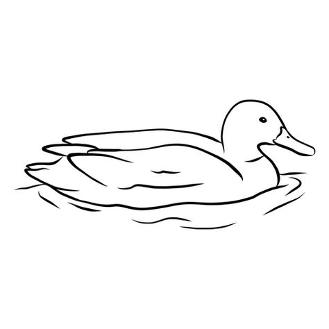 Ducks In Love Drawing, Duck In Water Drawing, Waterfowl Drawing, Pathani Saree, Pond Sketch, Duck Draw, Duck In A Pond, Draw Duck, Duck Sketch