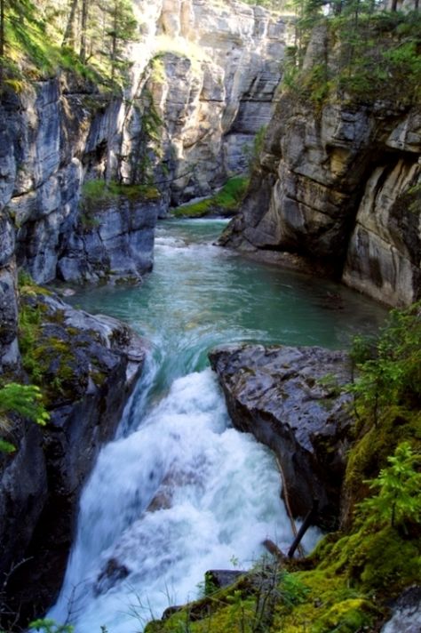 Maligne Canyon - Jasper National Park, Canada Maligne Canyon, Jasper Alberta, Water Rafting, Visit Canada, Canadian Rockies, Beautiful Waterfalls, Cool Landscapes, Alberta Canada, Canada Travel