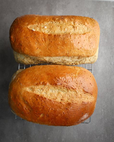 Tender Cracked Wheat Sandwich Loaf Bread Recipe - A Red Spatula Cracked Wheat Bread Recipe, Wheat Sourdough Bread, Loaf Bread Recipe, Homemade Whole Wheat Bread, Sourdough Bread Sandwiches, Sandwich Loaf, Wheat Bread Recipe, Cracked Wheat, Vital Wheat Gluten