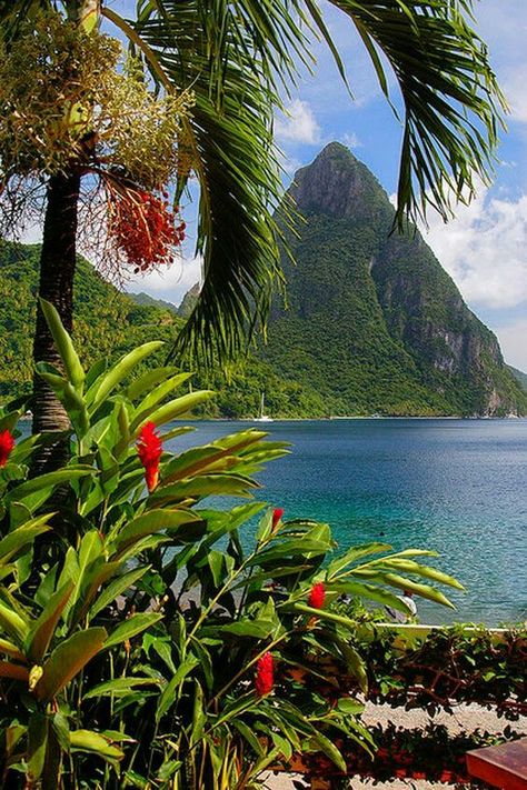 Saint Lucia, Elba, Best Places To Travel, St Lucia, Pretty Places, Places Around The World, Vacation Destinations, Vacation Spots, Bahamas