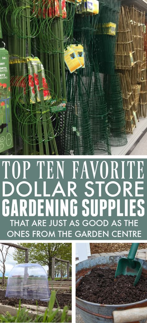 Easy Gardening Hacks, Garden Hacks Diy, Cheap Landscaping Ideas, Diy Garden Fence, Garden Netting, Eco Friendly Garden, Budget Garden, Garden Centre, Diy Garden Projects