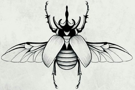 Insect Line Art, Rhinoceros Beetle Tattoo, Insect Tattoos, Beetle Drawing, Beetle Illustration, Beetle Tattoo, Punny Puns, Tattoo Techniques, Virgo Tattoo