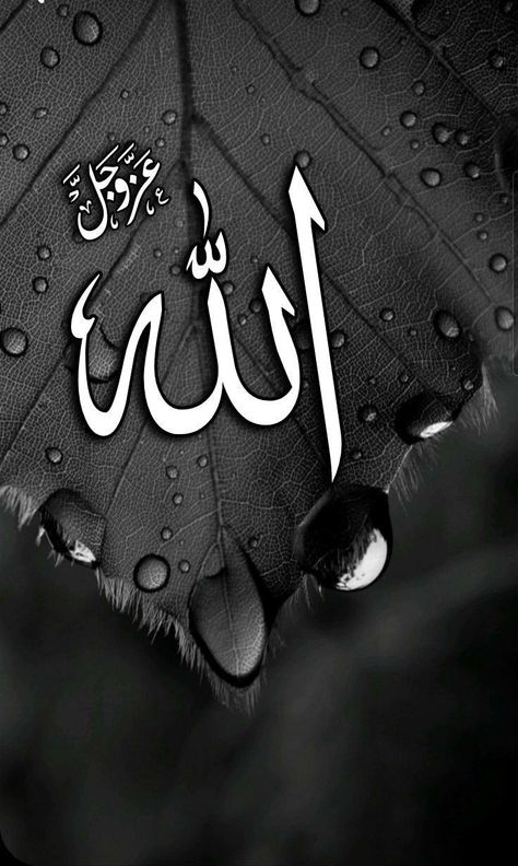 Flower Wallpaper Allah, Printable Islamic Art, Jumma Mubarak Beautiful Images, Islamic Wallpaper Hd, Islamic Wallpaper Iphone, Ayat Quran, Allah Names, Iphone Wallpaper Hd Nature, Allah Wallpaper