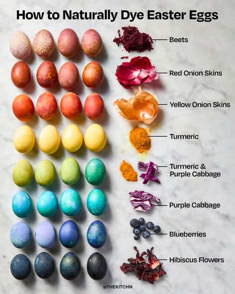 How to Make Natural Easter Egg Dye (Photos & Instructions) | The Kitchn Natural Egg Dye, Natural Easter Eggs, Naturally Dyed Easter Eggs, Colored Eggs, Egg Dye, Easter Egg Dye, Purple Cabbage, Men In Black, Coloring Eggs