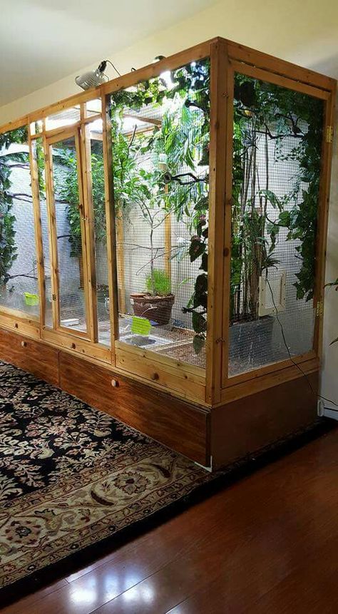 . Parakeet Cage Ideas Diy, Parakeet Cage Ideas, Diy Aviary, Diy Parakeet Cage, Bird Cage Ideas, Lizard Cage, Iguana Cage, Finch Cage, Diy Bird Cage