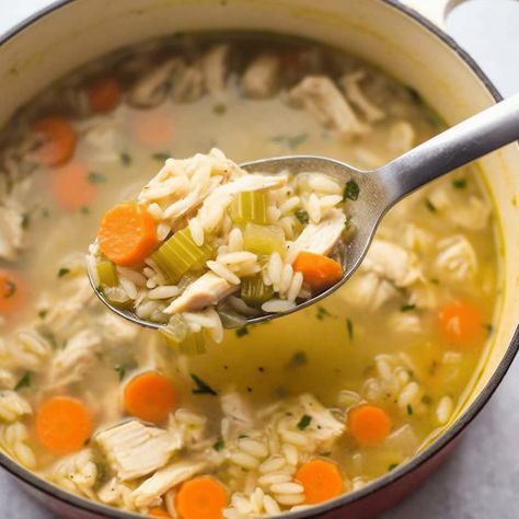 Easy Homemade Chicken and Rice Soup Recipe Home Made Chicken And Rice Soup, Chicken Soup Rice Recipes, Chicken Rice Veggie Soup, Homemade Chicken Soup With Rice, Chicken And Rice Soup Healthy, Chicken Soup With Rice Recipes, Easy Chicken Broth Soup, Chicken Tender Soup Recipes, Best Chicken Rice Soup Recipe