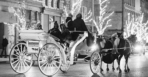 Experience the magic of New York City & Central Park by horse-drawn carriage! Perfect for anniversaries, proposals, or a night out with friends. Book now! New York City Central Park, Central Park New York City, City Adventure, Friends Book, Horse Drawn Carriage, Horse Carriage, Plaza Hotel, Horse Drawn, Iconic Landmarks