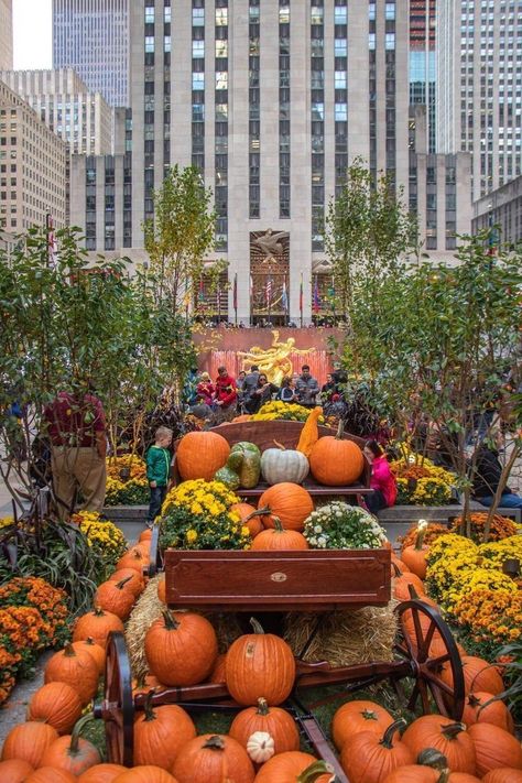 Fall In Manhattan, Halloween In Nyc Aesthetic, Fall In New York Aesthetic, Halloween Nyc Aesthetic, Nyc Halloween Aesthetic, Nyc Fall Aesthetic, Nyc In October, New York In Fall, Nyc Thanksgiving