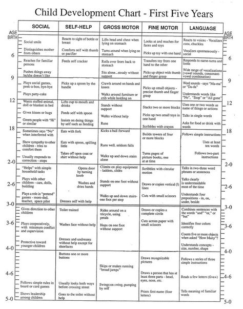 Developmental Milestones: the first 5 years Month Chart, Child Development Chart, Child Development Stages, Milestone Chart, Development Milestones, Family And Consumer Science, Developmental Stages, Developmental Milestones, Early Childhood Development