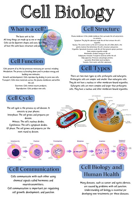 CELL STRUCTURE AND FUNCTION NCERT HIGHLIGHTS Cell Function And Structure, Cell Organelles Diagram, Cell Structure Notes, Cell Structure And Function Notes, Cell Theory Timeline, Human Cell Structure, Cell Parts And Functions, Cell Definition, Cell And Molecular Biology