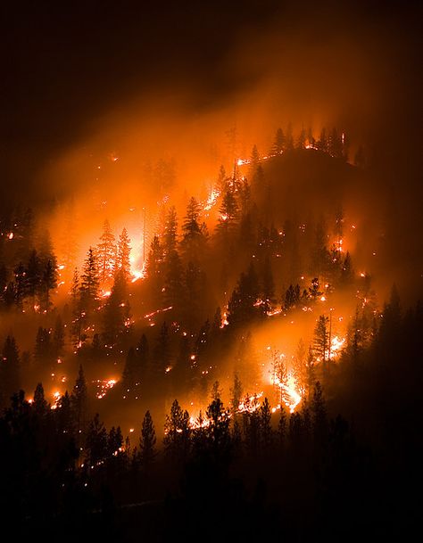 montana wildfire, forest fire | Flickr - Photo Sharing! Fire Aesthetic, Breathing Fire, Johanna Basford Enchanted Forest, Fire Photography, Forces Of Nature, Wild Fire, Natural Disaster, Orange Aesthetic, Sendai