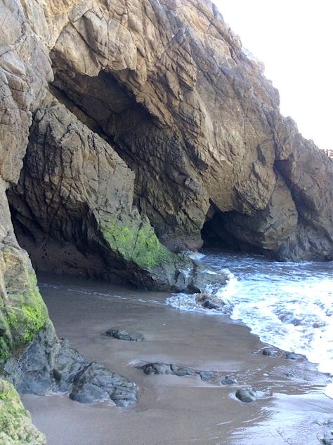 Leo Carrillo State Beach, Crystal Cove State Park, Tide Pool, Breathtaking Places, Pacific Coast Highway, Whole New World, Tide Pools, Nature Preserve, Estes Park