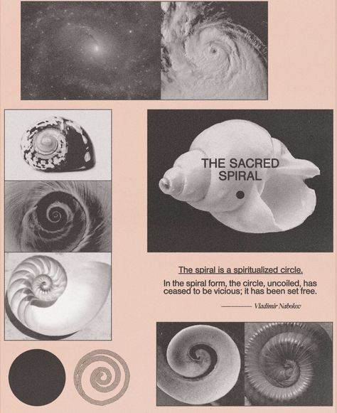 Logo Exploration, Spirals In Nature, Sacred Spiral, Golden Spiral, Fibonacci Spiral, The Spiral, Circle Of Life, Ethereal Art, Free Learning