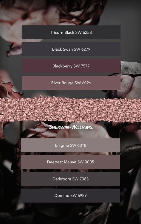 Mauve Plum Rose Gold Navy Bedroom, Dark Academia Aesthetic Paint Colors, Black Home Color Palette, Dark Academic Colour Palette, Black Cherry Wall Paint, Gothic Paint Palette, Mauve And Black Color Palette, Dark Color Schemes For The Home, Sw Blackberry Paint