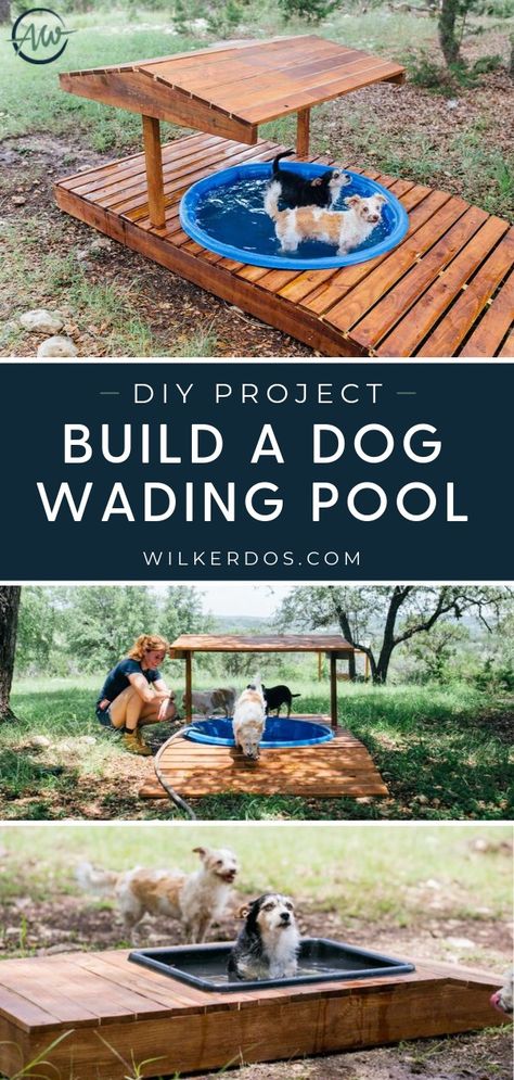 Pool Plans, Dog Backyard, Wading Pool, Dog Yard, Dog Playground, Dog Pool, Dog Area, Dog Rooms, Pool Design