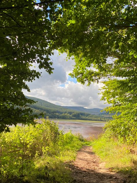 walking trail surrounded by trees overlooking a lake in wales Sunny Season, Summer Nature Aesthetic, Nature In Summer, Warm Nature Aesthetic, Sunny Summer Aesthetic, Summer Sunny Aesthetic, Hiking Summer Aesthetic, Summer Greenery, Sunny Nature