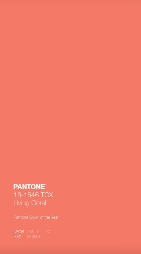 Pantone Swatches, Pantone Palette, Brand Palette, Color Pantone, Pantone Colour Palettes, Color Quotes, Brand Color Palette, Color Palette Design, Colour Schemes