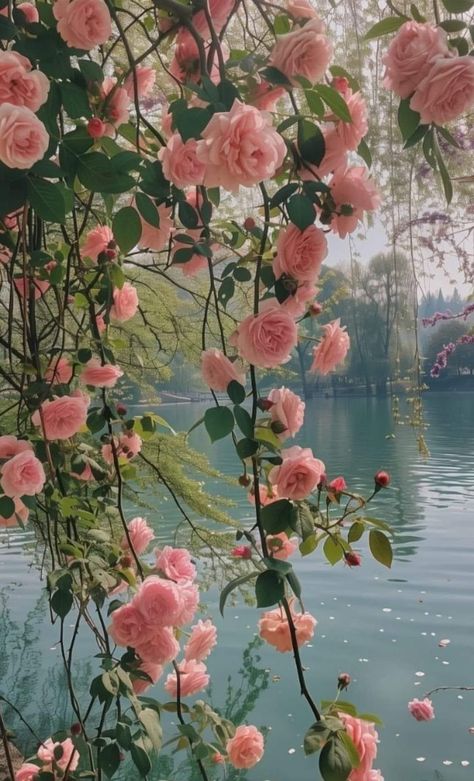 Pretty Landscapes Wallpaper, Pink Garden Aesthetic, Peony Flower Aesthetic, Willow Tree Wallpaper, Pink Floral Aesthetic, Romance Garden, Peony Tree, Peonies Wallpaper, Old Roses