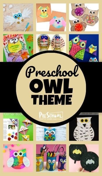 Dr Seuss Preschool Theme, Owl Crafts Preschool, Fall Theme Preschool, Owl Preschool, Frogs Preschool, Owl Activities, Dinosaur Theme Preschool, Pre School Ideas, Owl Babies