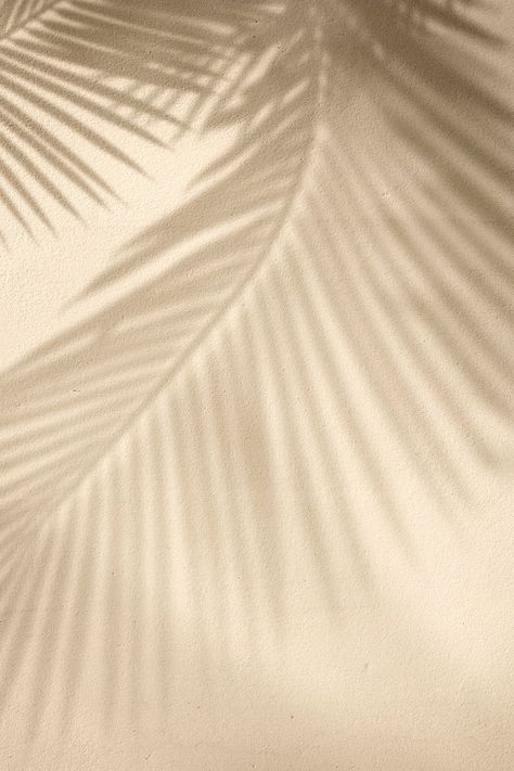 Palm Tree Background Aesthetic, Beige Palm Tree Aesthetic, Neutral Palm Tree Aesthetic, Aesthetic Background For Business, Aesthetic Background For Logo, Aesthetic Feed Fillers, Palm Aesthetic, Moodboard Background, Palm Shadow