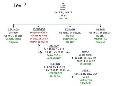 Levi Son of Jacob Bible Family Tree, Quick View Bible, Bible Genealogy, Torah Study, Sons Of Jacob, Bible Mapping, Online Bible Study, Bible Study Tips, Bible Quotes Prayer