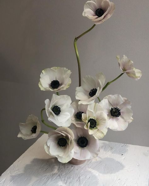 Florals for spring? While some ideas may not be ‘groundbreaking’, you can definitely add a fresh twist to popular classics🤍 From anemones to peonies, here are some spring flowers we adore for the wedding season 💐 #theroberomanceloves #weddingbouquet #weddinginspiration #bridetobe Anemones Flower, Anemone Bridal Bouquet, Anemone Wedding, Unique Bridal Bouquets, Anemone Bouquet, Peony Arrangement, Anemone Flower, Wedding Florals, Bridal Flowers