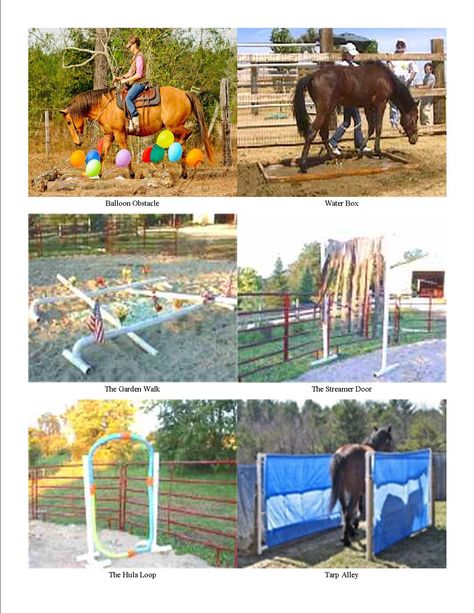 Obstacles for horse training. Great ideas for clicker training and horse agility, or just to desensitize your horse to things you might encounter while trail riding. Pictures Of Horses, Dog Clicker Training, Horse Lessons, Course Ideas, Horse Exercises, Horse Games, Horse Camp, Horse Trail, Horse Training Tips