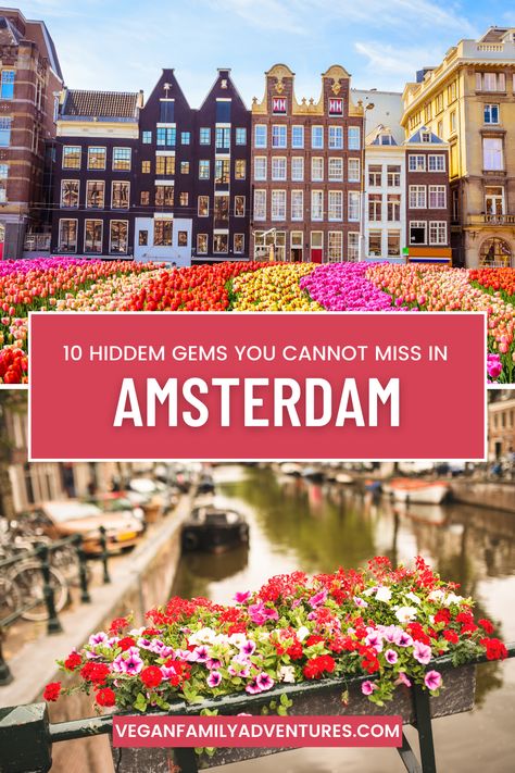 Discover the hidden secrets of Amsterdam with this guide to 10 of its best kept secrets! From unique sights and attractions, to unique dining experiences, this list of things to do in Amsterdam will ensure you get the most out of your trip. Get ready to explore off the beaten path as you uncover the cultural gems that Amsterdam has to offer. Click on the link to read the guide and start exploring these hidden gems of Amsterdam! Amsterdam Hidden Gems, Amsterdam Travel Guide, Best Kept Secret, Amsterdam Travel, Spring Trip, Hidden Gems, Once In A Lifetime, Family Adventure, Dining Experiences