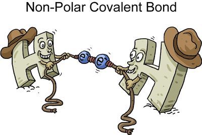 Non-Polar Covalent Bond: a bond where the electrons are shared equally-Jillian Charland Types Of Bonds Chemistry, Covalent And Ionic Bonds, Chemistry Bonding, Covalent Bonds, Science Cartoons, Chemistry Basics, Ionic Bonding, Chemistry Classroom, Chemistry Education