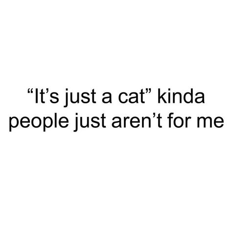 Crazy Cat Lady, Cat Lover Quote, Colorful Hairstyles, My Type, Caption Quotes, Cat People, Cat Facts, Cat Quotes, Quote Aesthetic