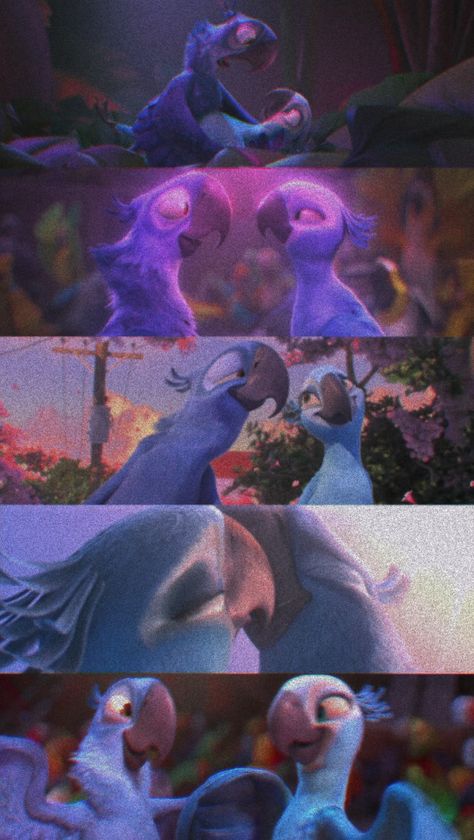 Rio Movie Aesthetic Wallpaper, Rio The Movie Aesthetic, Disney Music Aesthetic, Rio Wallpaper Iphone, Blue And Jewel Rio, Rio Movie Aesthetic, Rio Movie Wallpapers, Rio Wallpaper, Disney Characters As Humans