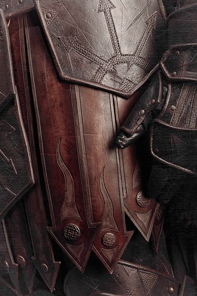 Royal Knight Aesthetic, Armor Aesthetic, Knight Aesthetic, Aesthetic Royal, Royal Knight, Grey Warden, Dragon Age Origins, Royal Guard, Leather Armor