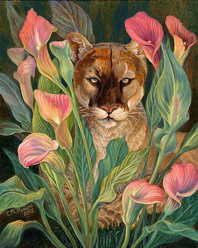 Cougar Tattoo, Cougar Art, Art Bio, Mountain Lions, Mountain Lion, Lion Art, Art Et Illustration, Art Collage Wall, Art And Illustration