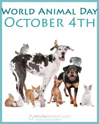 world animal day - 5 Minutes for Mom National Animal Day, World Animal Day, Animal Day, World Days, Young Animal, The Ark, Pet Day, Pet Holiday, Noahs Ark