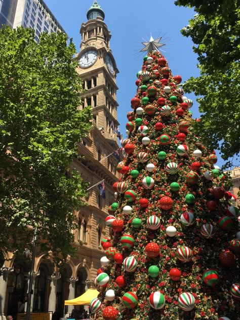 Merry Christmas from Sydney Christmas In Australia Aesthetic, Christmas Australia Aesthetic, Aussie Christmas Aesthetic, Australian Christmas Aesthetic, Sydney Christmas, December Mood Board, Summer Xmas, Christmas Australia, Australia Aesthetic