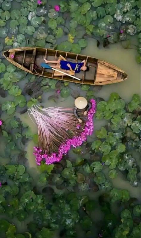 Pond Boat, Mood Board Fashion Inspiration, Myanmar Art, Lotus Pond, Beautiful Art Paintings, Shot Photo, Magnum Photos, Beach Painting, Photography And Videography